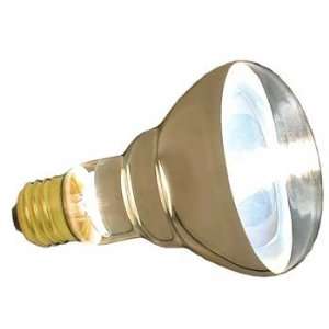  75 Watt Repti   halogen Inc Spot Lamp: Pet Supplies