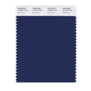   SMART 19 4027X Color Swatch Card, Estate Blue: Home Improvement