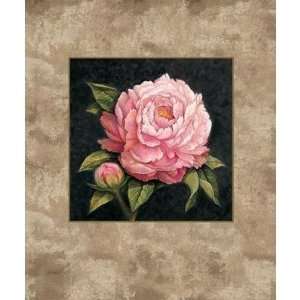  Pink Peony Poster Print: Home & Kitchen