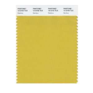  PANTONE SMART 14 0740X Color Swatch Card, Bamboo: Home 