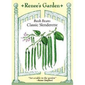  Bean   Slenderette Seeds Patio, Lawn & Garden