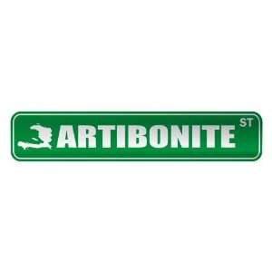   ARTIBONITE ST  STREET SIGN CITY HAITI: Home Improvement