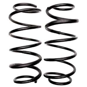  Raybestos 587 1139 Professional Grade Coil Spring Set 