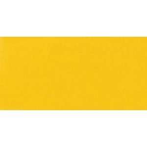  Jacquard Acid Dyes 1/2 Ounce Bright Yellow: Everything 
