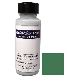   Touch Up Paint for 2006 Nissan X Trail (color code: DW0) and Clearcoat