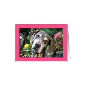    62nd Birthday card, German Shorthaired Pointer Card: Toys & Games