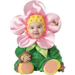  Baby Blossom Flower Costume Size 18M 2T: Everything Else