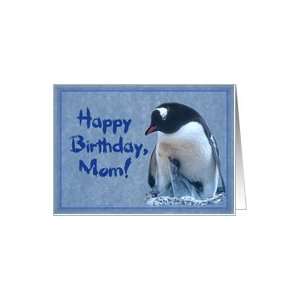  Happy birthday, Mom card, Penguin with two chicks Card 