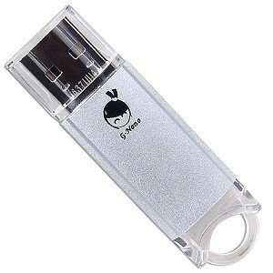  GoldenMars GU N01 2GB USB 2.0 Flash Disk (Silver 