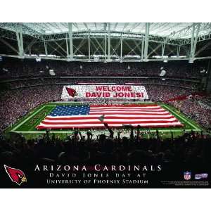 Personalized Arizona Cardinals Stadium Print:  Sports 