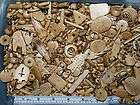 Lbs,(1 KG) Bone Beads, Pendents etc. Wholesale Lot 