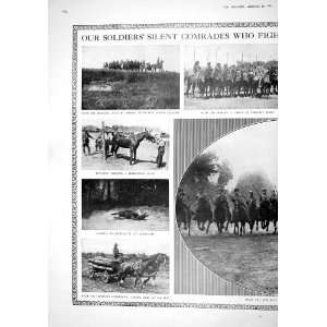   Russiand Horses Cavalry Camp Hospital Lumbermen