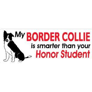   Border Collie Is Smarter Than your honor student bumper sticker 7x21/2