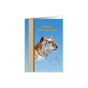  86th Birthday Card with Tiger Card Toys & Games