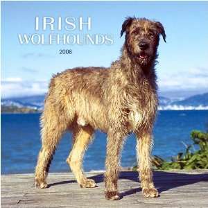  Irish Wolfhounds 2008 Wall Calendar
