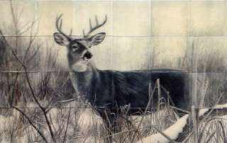 36 x 24 inch   2 Color Glass Wall Tile Buck Mural  
