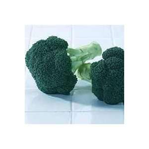  Broccoli Green Magic Hybrid Great Vegetable 50 Seeds 