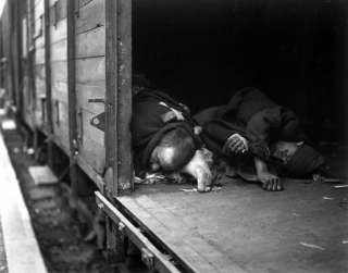 Railroad, Concentration Camp   WWII Holocaust Photo  