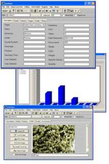 Rock Mineral Lapidary Sample & Book Inventory Software  