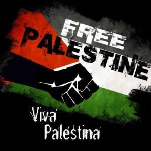  Free Palestine   Viva Palestina Pin 