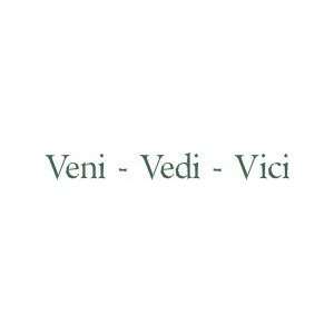   Quote   Veni   Vedi   Vici   Foreign letter decals