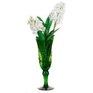  12 Hyacinth x2 in Green Glass Vase White (Pack of 6): Home 