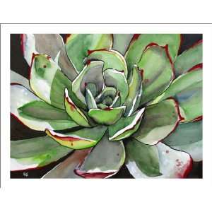  Original Agave Paintings Succulent Watercolors Cactus Fine 