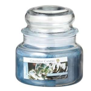  Colonial Candle Cactus Flower 10 oz Traditions Jar