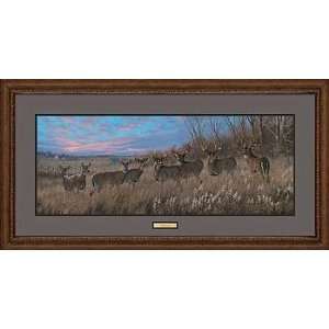  Framed Natures Plan Whitetail Deer Print By Michael Sieve 