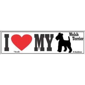  I Love My Welsh Terrier Bumper Sticker: Automotive