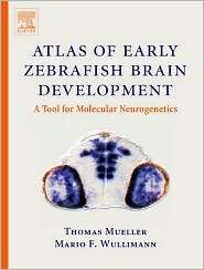Atlas of Early Zebrafish Brain Development A Tool for Molecular 