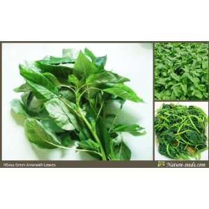  Nature Seeds Green Amaranth Leaves / Chinese Spinach Round 
