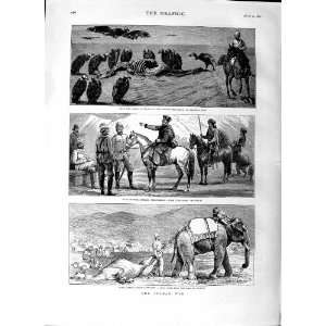   1879 Afghan War General Maude Roberts Jumrood Elephant