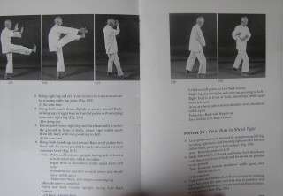 COMPLETE TAI CHI BOOK MARTIAL ARTS MASTER ALFRED HUANG  