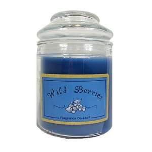  Pack of 4 American Greetings Wild Berries Jar Candles with 