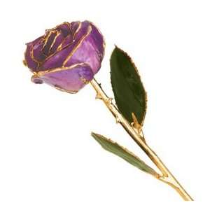  Long Stem Dipped 24K Gold Trim Lilac Genuine Rose w/ Gift 