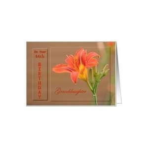   Granddaughter ~ Age Specific 44th ~ Orange Day Lily Card Toys & Games