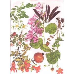   12 Wild Flowers Colour Plate by Barbara Everard. 