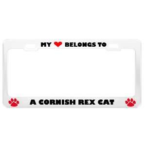 Cornish Rex Cat Pet White Metal License Plate Frame Tag Holder