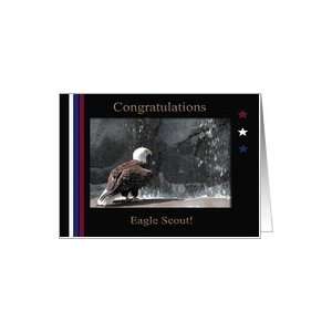  Eagle Scout Congratulations, Bald Eagle by Waterfall Card 