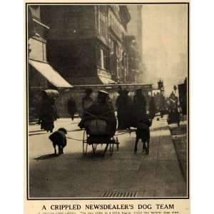   Newsstand New York Vendors Dog Pulled Cart   Original Halftone Print
