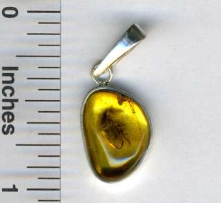 BALTIC AMBER SILVER PENDANT WITH INSECT INCLUSION  