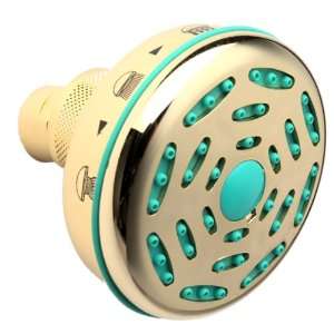  GS 2410 2 Easy Clean Shower Head, Polished Brass