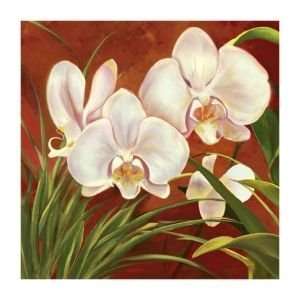  Red Orchid by Laurie Snow Hein. Size 18.00 X 18.00 Art 
