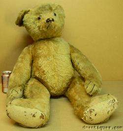 Antique c1905 10 Rare Large 32 Display Teddy Bear Mohair Maker 