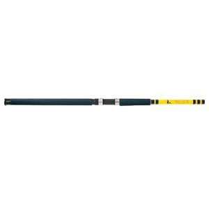  Eagle Claw Water Eagle 9 inMH Casting Rod   2 Piece: Home 