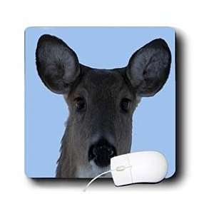    Beverly Turner Photography   Deer   Mouse Pads Electronics