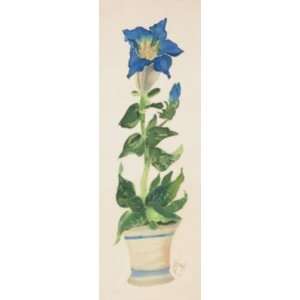  Blue Star Lily Poster Print