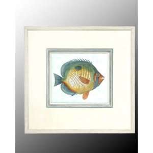 Butterfly Fish II 