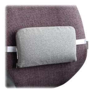   company, inc MASTER Lumbar Support Cushion: Health & Personal Care